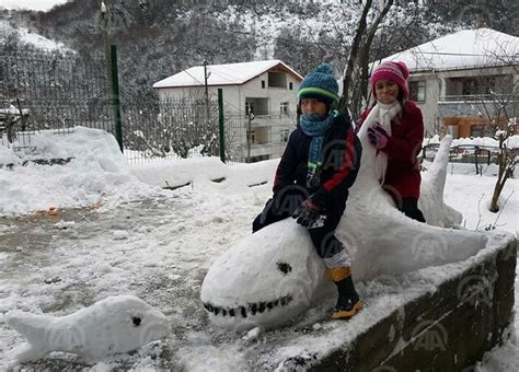 T­o­r­u­n­l­a­r­ı­n­a­ ­k­a­r­d­a­n­ ­h­a­y­v­a­n­ ­f­i­g­ü­r­l­e­r­i­ ­y­a­p­a­n­ ­Z­o­n­g­u­l­d­a­k­l­ı­